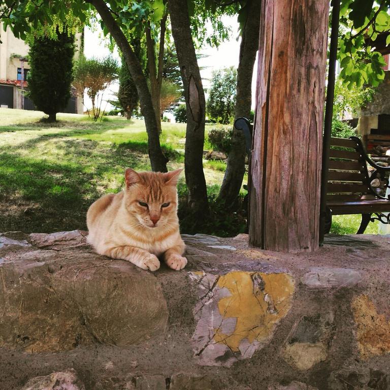 Agriturismo San Nicolo Montecastelli Pisano Ngoại thất bức ảnh