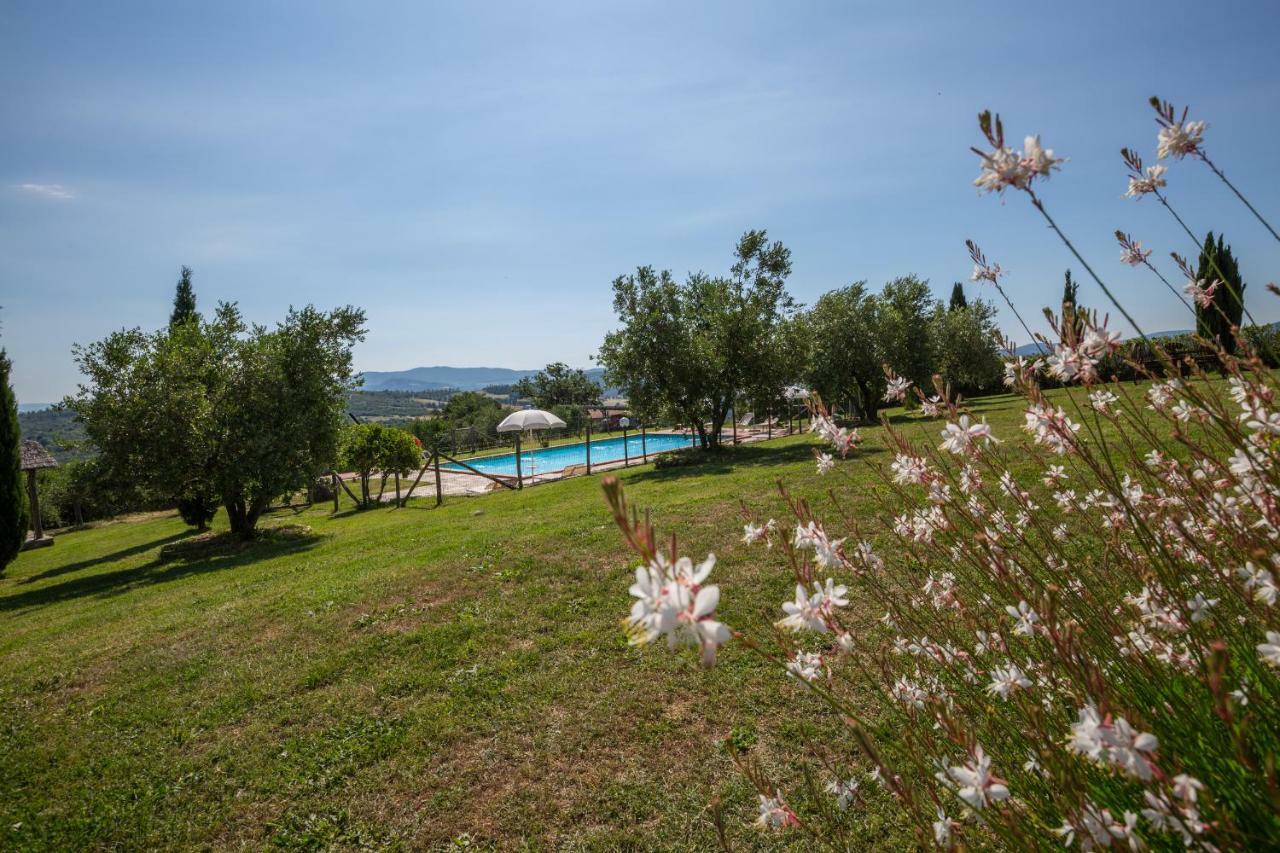 Agriturismo San Nicolo Montecastelli Pisano Ngoại thất bức ảnh